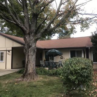 A suburban house with a large tree in the front yard and patio furniture under an umbrella.