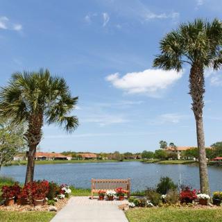 A scenic view of a tranquil lake with a path leading to a bench, flanked by palm trees.