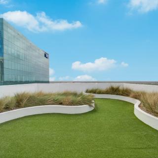 A modern rooftop garden with a curved lawn and ornamental grasses, set against a backdrop of glass buildings and a clear blue sky.