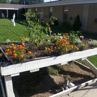 A vibrant garden showcasing blooming flowers and fresh plants in a raised bed.