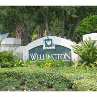 Welcome to Wellington: A tranquil and lush community.
