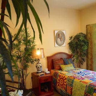 A cozy bedroom with a bohemian style, featuring vibrant bedding and lush indoor plants.
