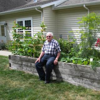 An elderly man sits on the edge of a raised vegetable garden in front of a house.