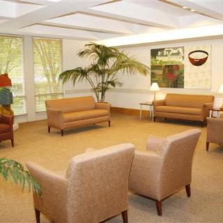 A well-lit waiting room with comfortable seating and decorative plants.