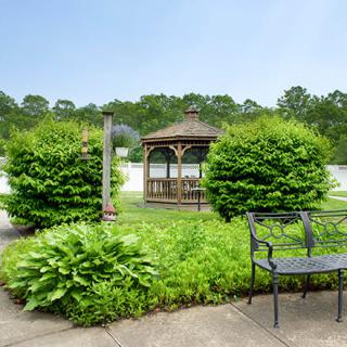 A peaceful garden featuring a wooden gazebo surrounded by lush greenery and a nearby bench.
