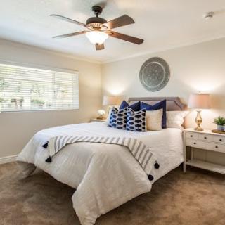 A stylish and serene bedroom featuring modern decor, a cozy bed, and ample natural light.