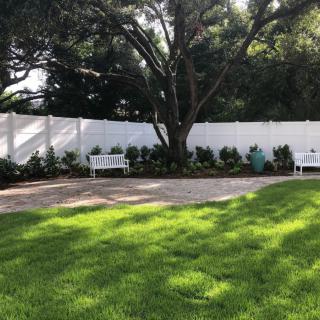 A peaceful garden area with benches and a large tree.