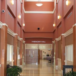 A well-lit hallway with a modern design and warm-colored walls.