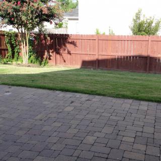 A backyard with a well-kept lawn, bordered by a wooden fence and featuring a paved patio.
