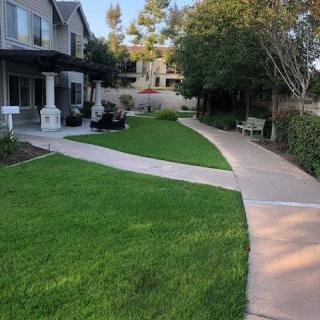 A paved pathway curves through a landscaped area with grass, trees, and adjacent buildings.