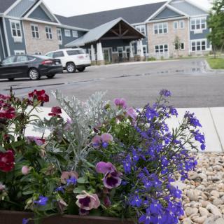 A close-up of vibrant flowers in a planter with a large building and parking lot in the background.