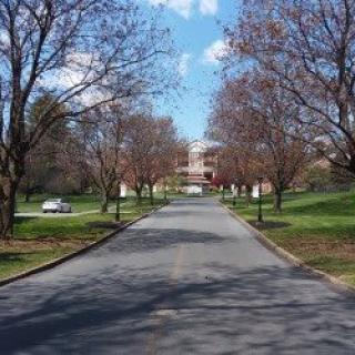 A straight road lined with trees leading to a distant building under a blue sky.