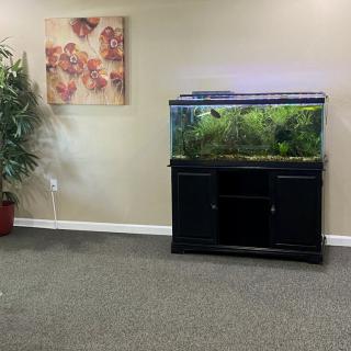 A cozy living room with an aquarium, a potted plant, and decorative wall art.