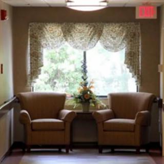 A cozy seating area with two chairs and a decorative plant by a window.