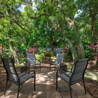 A peaceful garden patio with four chairs surrounded by lush greenery and trees.
