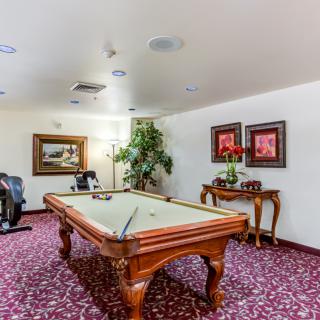 A well-decorated game room featuring a classic pool table, artwork on the walls, and indoor plants.