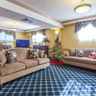 A cozy living room decorated with a Christmas tree and two couches.