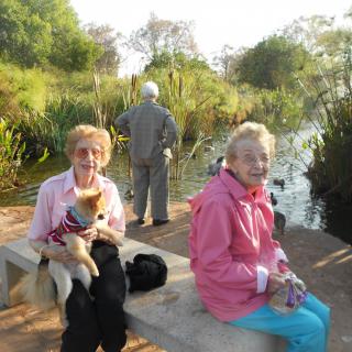 Two seniors sitting on a bench in a park with a small dog, enjoying the outdoors.