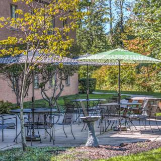 A serene outdoor patio with tables, chairs, and umbrellas surrounded by trees.