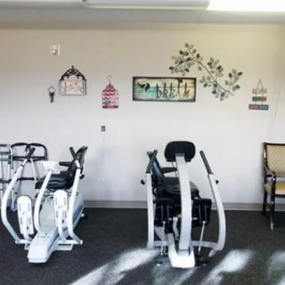 A gym interior featuring stationary bikes and decorative wall art.
