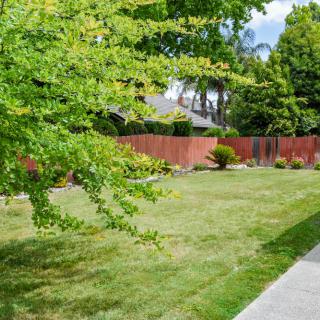 A well-maintained lawn surrounded by trees and a wooden fence.