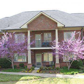 A charming brick apartment building surrounded by blooming pink trees in spring.