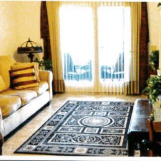 A cozy living room featuring a patterned rug, comfortable sofa, and large windows with curtains.