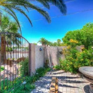 A sunny backyard patio with lush greenery and palm trees under a clear blue sky.