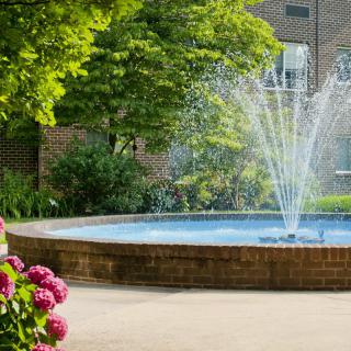 A serene garden fountain with blooming flowers and lush greenery.