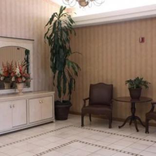 A cozy lobby area with decorative plants, a mirror, and seating.