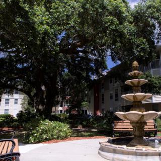 A serene garden with a multi-tiered fountain and benches, surrounded by lush trees and dappled sunlight.