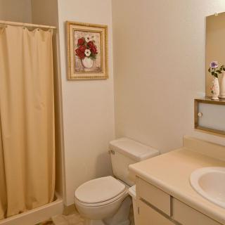A compact bathroom with a shower, toilet, and sink, featuring simple decor.