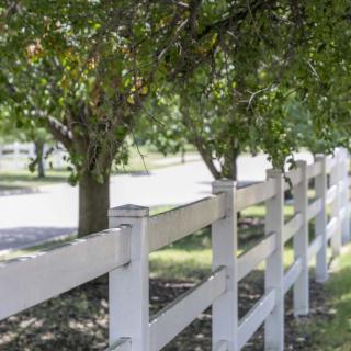 A white fence running alongside a row of lush green trees on a sunny day.