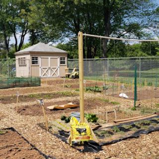 A view of a well-maintained vegetable garden with a nearby shed and fenced area.