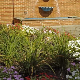 A vibrant garden with a variety of flowers and a decorative wall fountain.