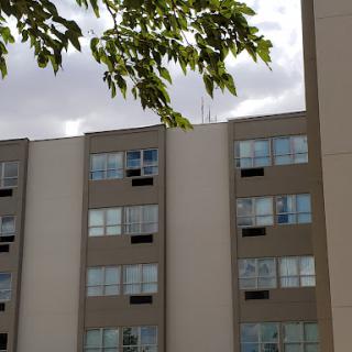 An urban apartment building with multiple windows, framed by the branches of a tree under a cloudy sky.