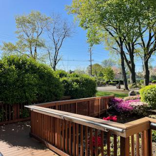 A serene garden scene with vibrant flowers and lush greenery under a clear blue sky.