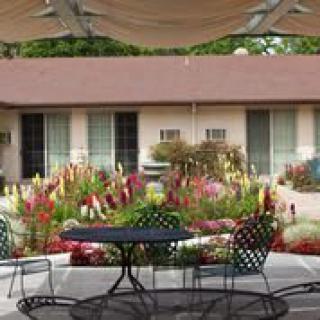 A cozy outdoor patio area with a table and chairs, surrounded by vibrant flowers in a garden.