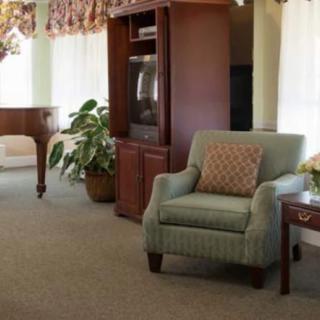 Cozy living room with an armchair, wooden cabinet, and indoor plants.