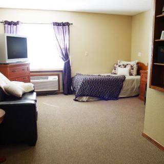 A cozy room featuring a bed, sofa, and television with ample natural light from the window.