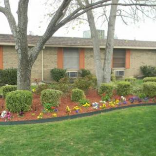 A landscaped garden with flowers and shrubs in front of a building.
