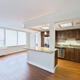A spacious open-concept kitchen and living area featuring modern wooden cabinetry and ample natural light.