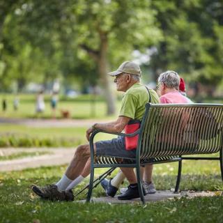 An elderly couple sits on a park bench, enjoying a sunny day outdoors.