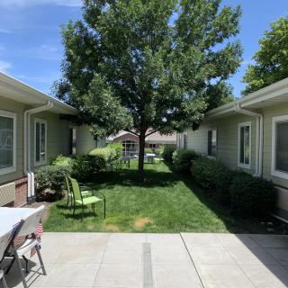 A sunny backyard with a tree and outdoor furniture between two houses.