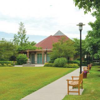 A serene garden with a pathway lined by benches and lampposts leading to a quaint building surrounded by lush greenery.