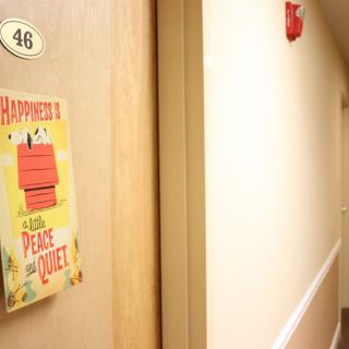 A decorated door in a hallway with a Snoopy peace and quiet sign.