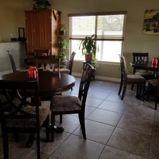 A cozy dining area with round tables and chairs, featuring a large window and indoor plants.