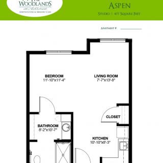 A simple floor plan for a one-bedroom apartment, including a living room, kitchen, bathroom, and closet.