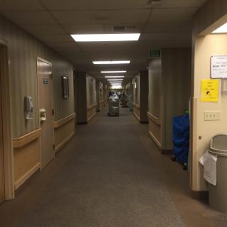 A well-lit hospital hallway with a carpeted floor and doors on either side.