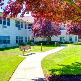 A sunny courtyard with a pathway lined by trees, benches, and a surrounding building.